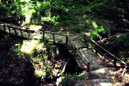 Lesná cestička