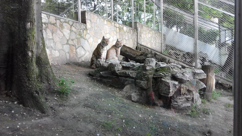 ZOO Belehrad