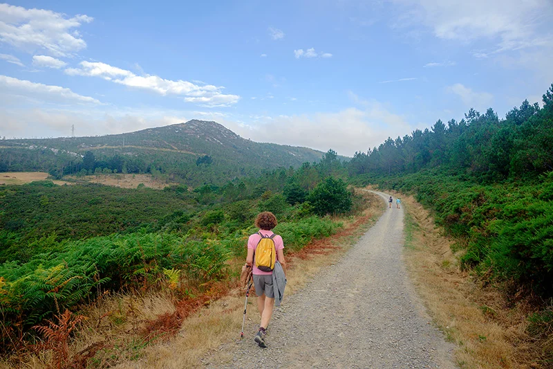 Camino de Santiago