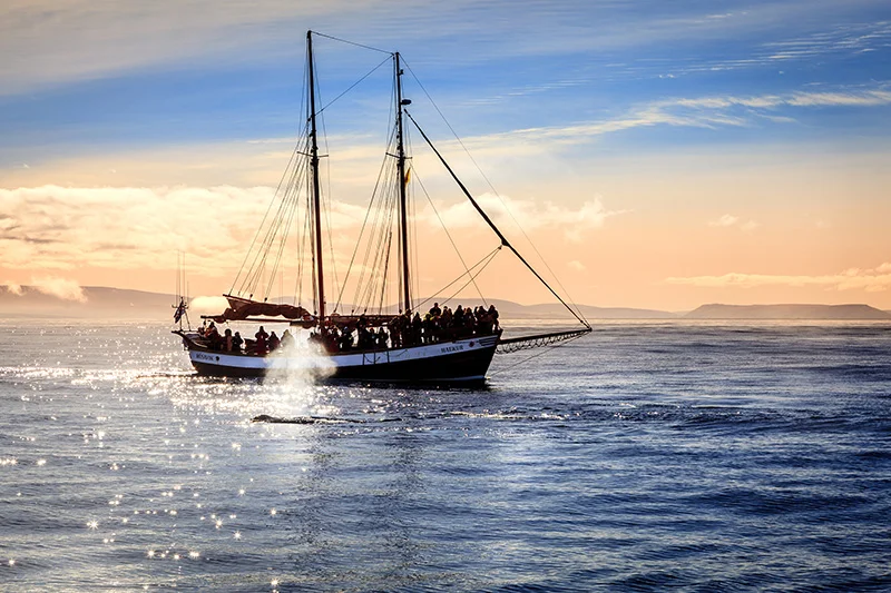 Husavik Island