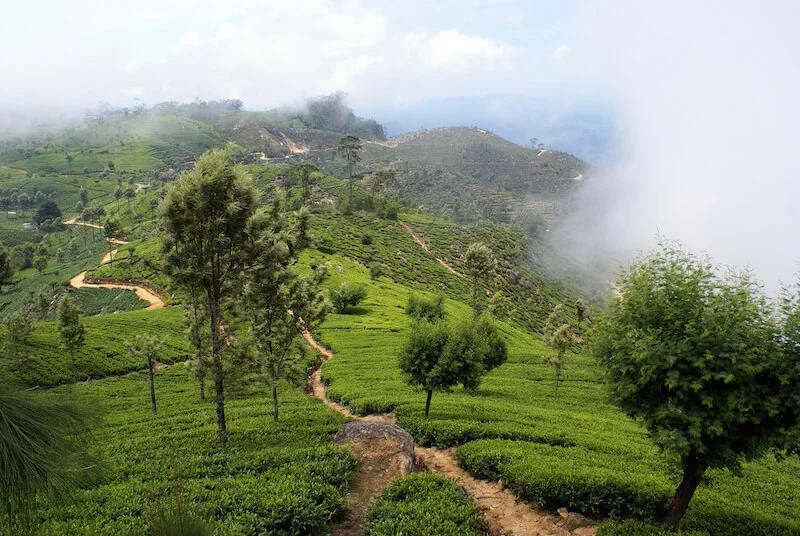 Srí Lanka