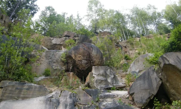 Megonky