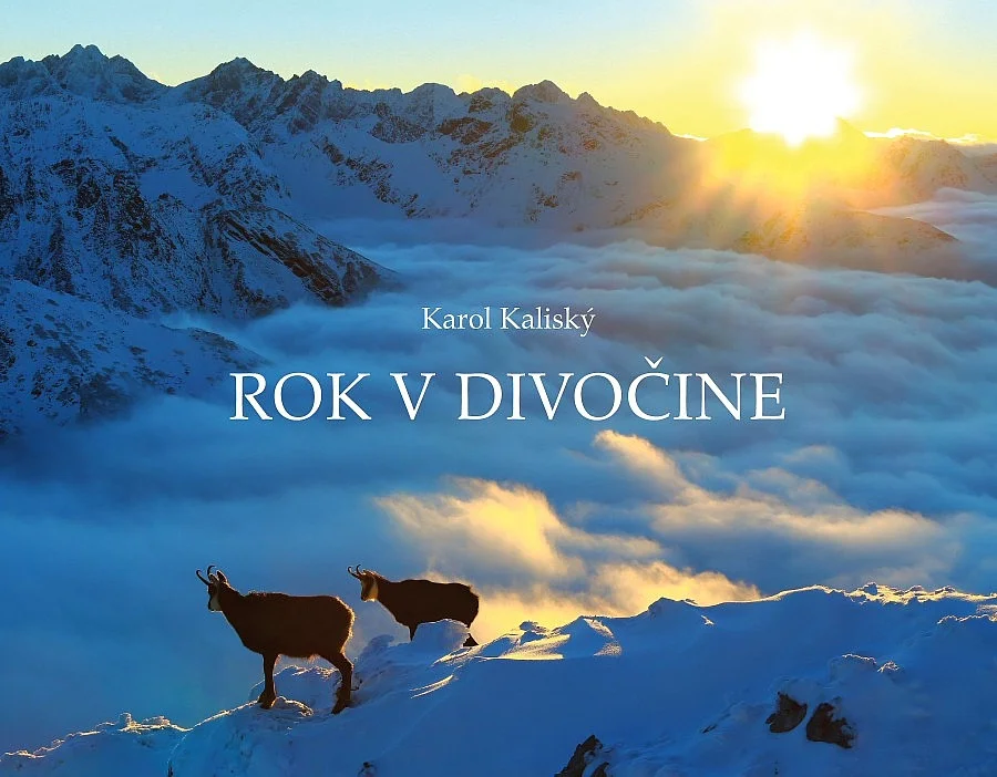 Kaliský - Rok v divočine